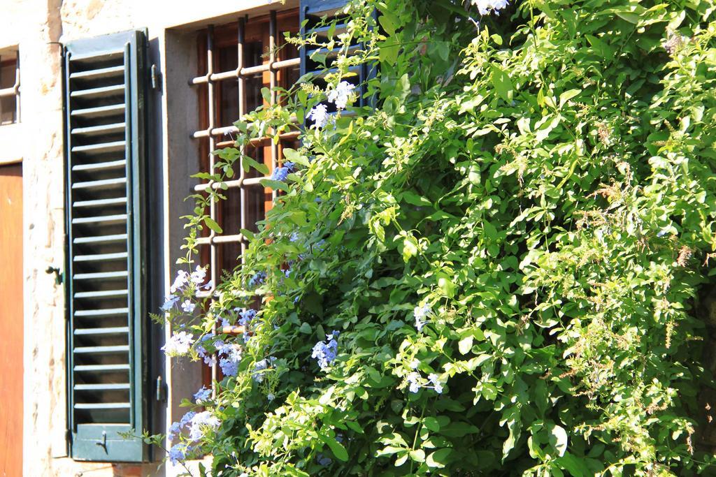 Antica Casa "Le Rondini" Bed and Breakfast Borgo a Buggiano Exteriör bild