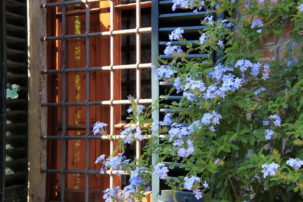 Antica Casa "Le Rondini" Bed and Breakfast Borgo a Buggiano Exteriör bild